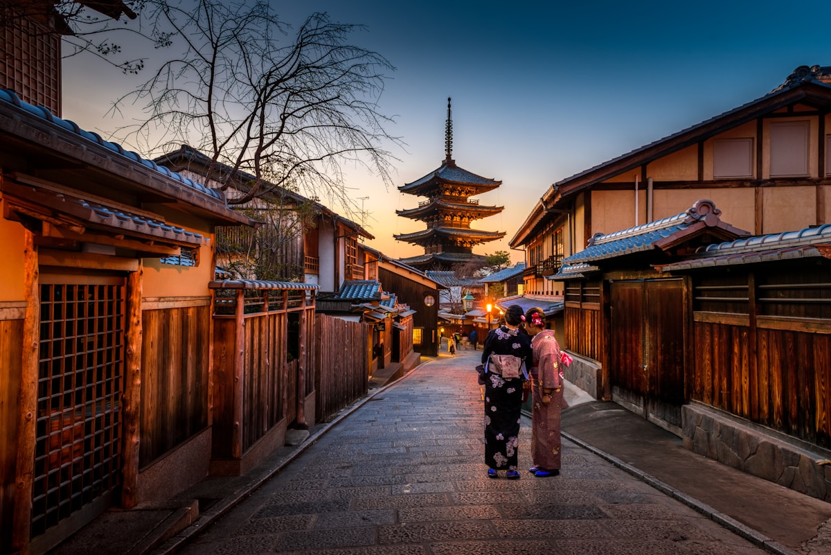 Sacred cedar grove at Mount Koya
